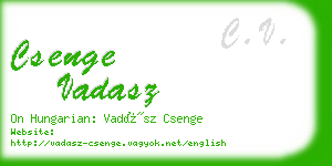 csenge vadasz business card